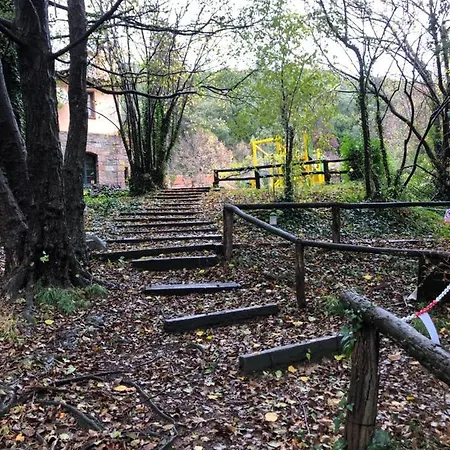 Sant Bernat Montseny
